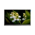 S650DJ4-KS5 Rev.B1 65.0 inch LCD screen for Interactive Whiteboard for sale