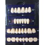 China Dental Synthetic Resin Teeth Materials Multi Layers Composite False Teeth HSS3 HC3 M32 manufacturer