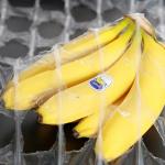 Food And Plant Wrap LDPE Stretch Film 500mm X 1420m with 250% Elongation and Durable Material for sale
