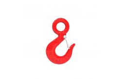 China SLR039-G80 EYE HOOK WITH LATCH supplier