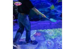 China Joyful Beach Projection Game Constant Updates With New Gaming Content supplier