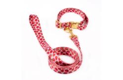 China Hardware Print Fray Proof Adjustable Nylon Dog Collar/dog leash/dog harness supplier