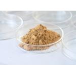 Beer Specialized Multi Enzyme Beverage Enzyme Powder Improve The Colloidal Stability Of Beer for sale