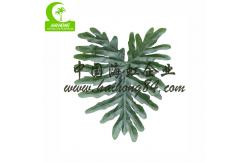China High Simulation 150cm Artificial Potted Floor Plants With Big Leaves supplier