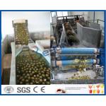 Pineapple Processing Juice Factory Machinery With Fruit Juice Packaging Machine for sale