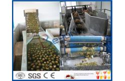 China Pineapple Processing Juice Factory Machinery With Fruit Juice Packaging Machine supplier