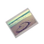 AA050MG03--T2 5.0 inch LCD Screen display panel for sale