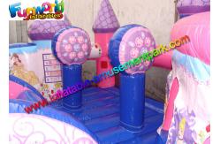 China Amazing Fun Inflatable Amusement Park Princess Palace , Jumping Bouncer Playground supplier