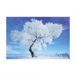 0.6mm PET 40*60cm 3D Lenticular Poster / 3D Depth Effect Lenticular Landscape Poster for sale