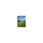 LQ043Y1LX01 Original 4.3 Inch LVDS Interface 480*800 TFT LCD Module for sale