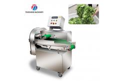China 180KG Multifunctional vegetable cutting machine commercial leaf vegetable root slicing and sectioning machine supplier