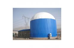 China 1 MW Biogas Power Plant Cost Bio Gas Plant  For Home supplier
