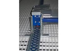 China Chain Feeder System Chicken Breeding Equipment supplier