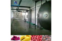 China Energy Saving Vacuum Freeze Drying Machine , Automatic Freeze Dryer supplier