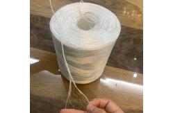 China 1mm 1000m/Kg PP Tomato Raffia String Twine for tying plants polypropilen supplier