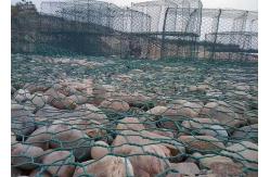 China 8x10cm 3.2mm Steel Hexagonal Wire Netting Gabion Box Slope Protection Wire Mesh supplier