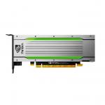 Datacenter Edge Inference GPU Graphics Card Tesla NVIDIA T4 GPUS 16GB GDDR6 for sale