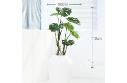 China Nordic Bonsai Evergreen Monstera Artificial Potted Plant Ornament supplier