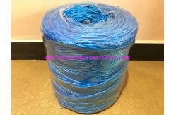 China LT027 Elephant Polypropylene Lashing Twine 2MM - 6MM Diamerter With UV Additive supplier