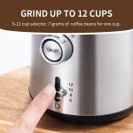 Multifunctional Electric Coffee Grinder UK Plug 80g Capacity with Removeable Grinder Cup