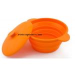 Colorful silicone bowl with lid / foldable bowl / Plastic bowl for sale