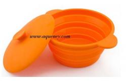 China Colorful silicone bowl with lid / foldable bowl / Plastic bowl supplier