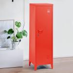 Console Removable Wardrobe Thick 0.6mm Metal Storage Locker