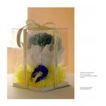 Customizable Cake Packaging Boxes for Biscuit Packaging Requirements for sale