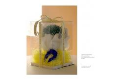 China Customizable Cake Packaging Boxes for Biscuit Packaging Requirements supplier