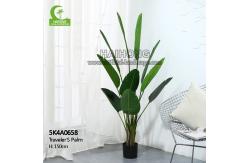 China Artificial Traveler's Palm Decorative Best Office Plants supplier