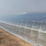 High Strength Plastic Agricultural Film Offering Excellent UV Resistance