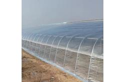 China High Strength Plastic Agricultural Film Offering Excellent UV Resistance supplier