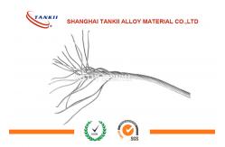 China Chrome Stranded Wire Nickel 200 Strip Ni201  NiMn2 Electrical Resistance Nickel supplier