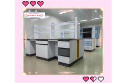 China Multi Functional Chemistry Lab Bench Modular Lab Furnitures  With Safeguard Cover supplier