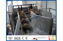 China High Efficient Pineapple Processing Line With Pineapple Cutting Machine supplier