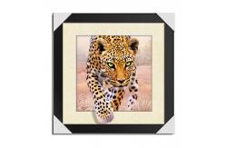 China home Decorative 3D Lenticular Printing Service CMYK Offset Printing supplier
