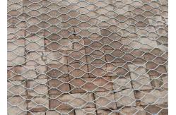 China Bird Rain Forest Stainless Steel Zoo Wire Mesh Custom Width supplier