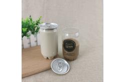 China Screen Printing 60mm 345ml Plastic Beverage Cans supplier