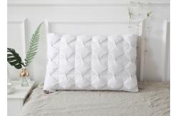 China 40S Anti Bacteria White Goose Down Pillow supplier
