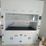 Custom Research Lab Fume Hood With Scrubber Tank For School for sale
