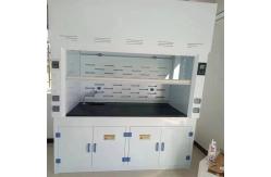 China Custom Research Lab Fume Hood With Scrubber Tank For School supplier