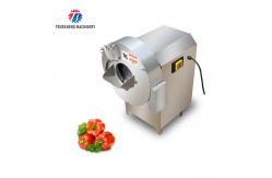 China 100KG/H Vertical Ginger Plantain Cutting Machine Multifunctional supplier