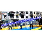 Customized Inflatable Adult Swimming Pool Slides For Entertainment