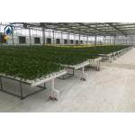 NFT Hydroponic Tube Indoor Planting System With Rapid Nutrient Cycling for sale