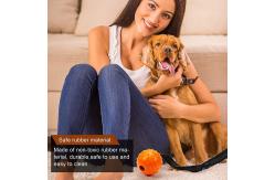 China Natural Rubber Indestructible Dog Chew Toys Interactive supplier