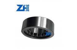 China R909156259 Cylindrical Roller Bearing P0 Precision supplier