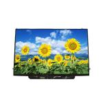 B133EW03 V1 13.3 inch 1280*800 TFT-LCD Screen Display for sale