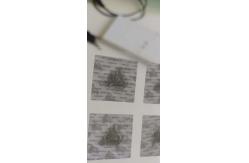 China Custom 3D Security Holographic Lenticular Stickers for Micron Nano Label Dynamic supplier