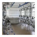 Parallel Lines 20T/H Herringbone Milking Parlor Automatic Milk Machine for sale