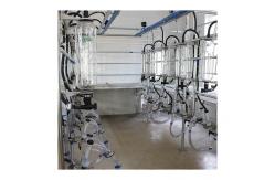 China Parallel Lines 20T/H Herringbone Milking Parlor Automatic Milk Machine supplier